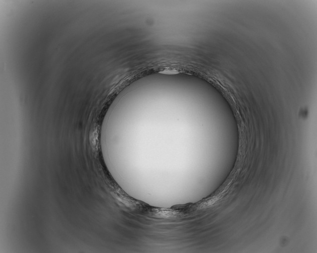 X0000100360336200806060828