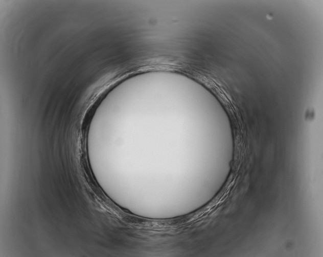 X0000100360338200806060828