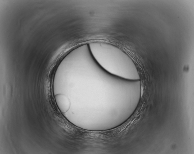 X0000100360339200806060828