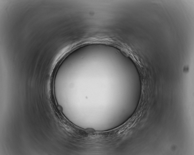 X0000100360340200806060828