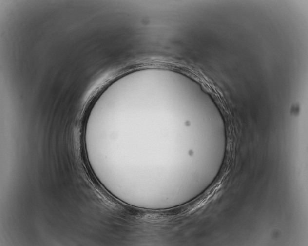 X0000100360341200806060828