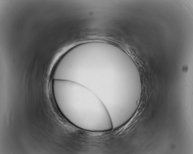 X0000100360342200806060828