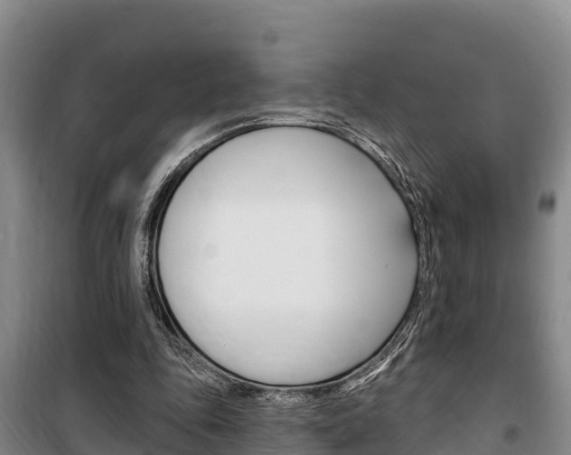 X0000100360343200806060828
