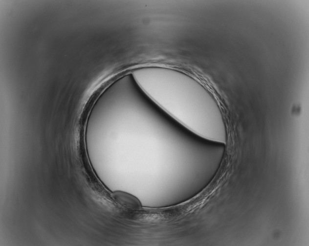 X0000100360344200806060828