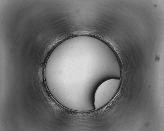 X0000100360345200806060828