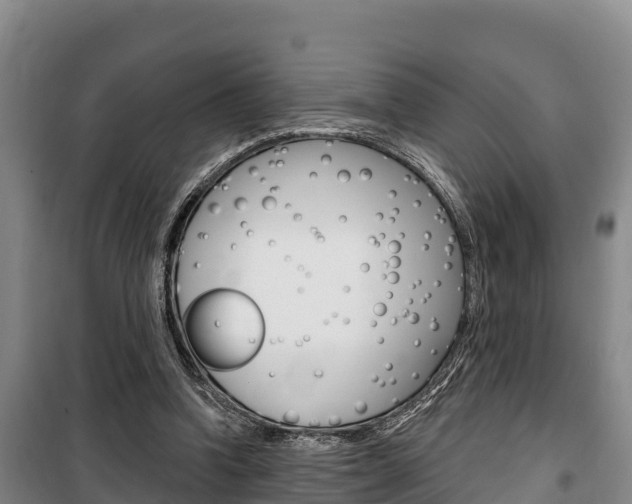 X0000100360346200806060828