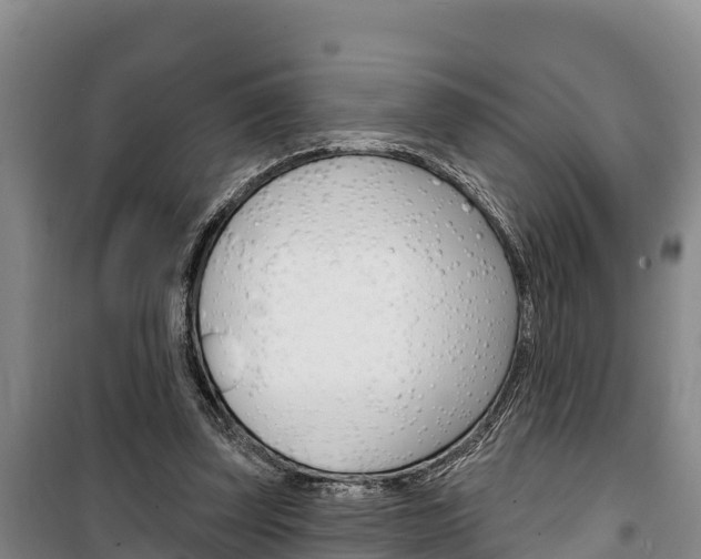 X0000100360347200806060828