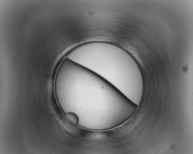 X0000100360348200806060828