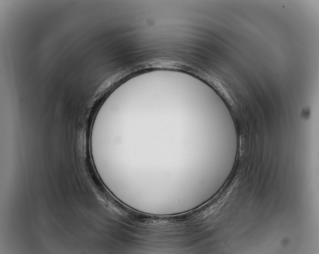 X0000100360349200806060828