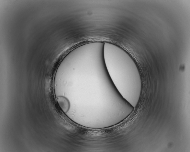 X0000100360351200806060828