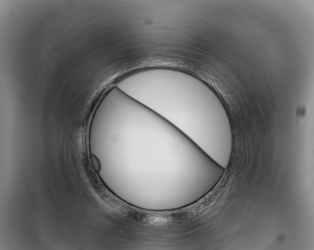 X0000100360352200806060828
