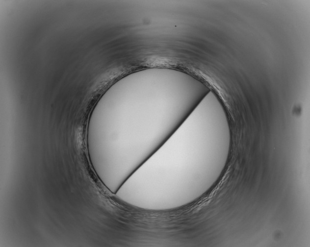X0000100360353200806060828