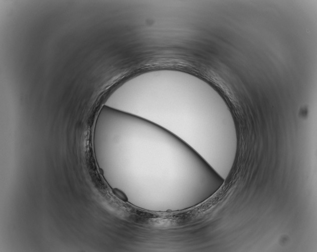 X0000100360356200806060828