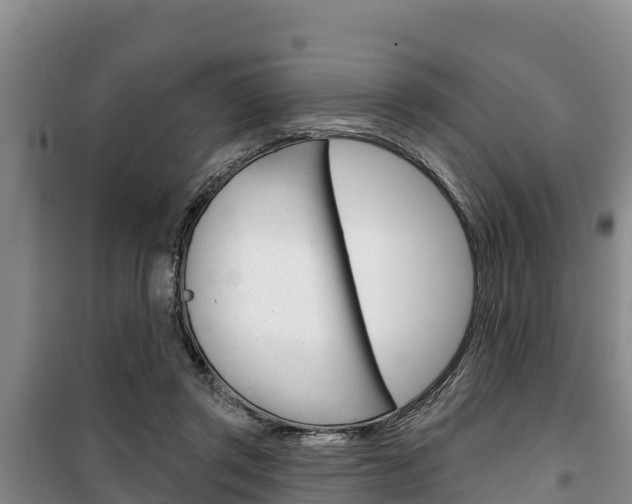 X0000100360357200806060828