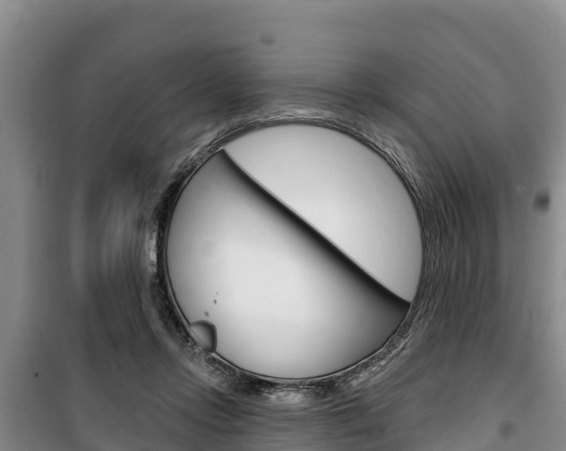 X0000100360358200806060828
