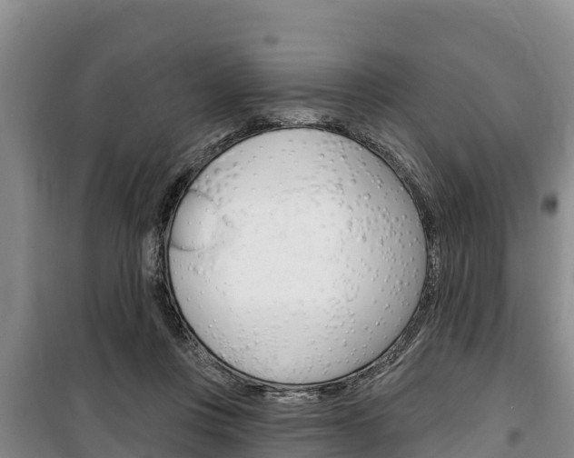 X0000100360359200806060828