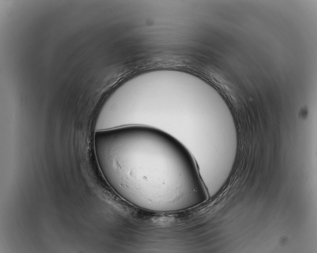 X0000100360362200806060828