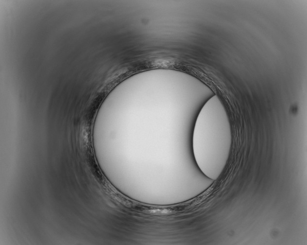X0000100360363200806060828