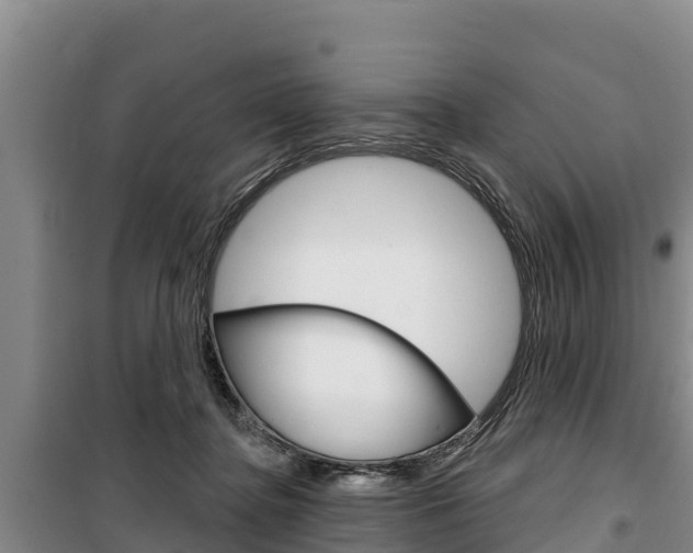 X0000100360364200806060828