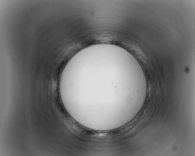 X0000100360365200806060828