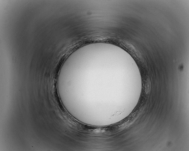 X0000100360366200806060828