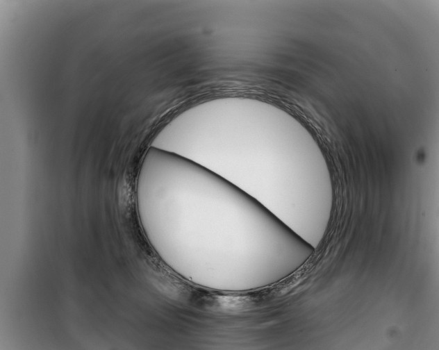 X0000100360371200806060828