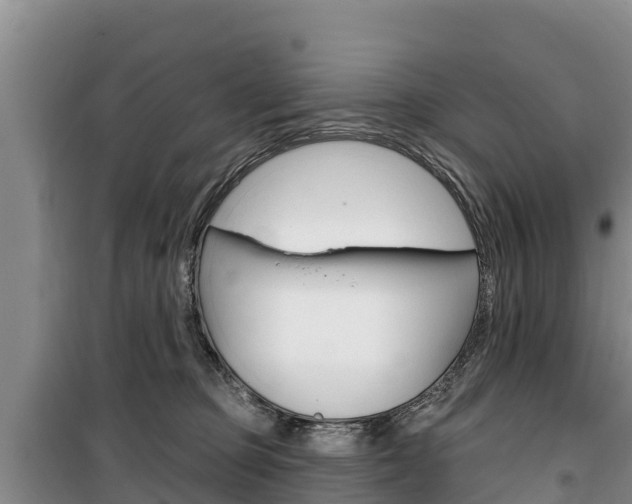 X0000100360373200806060828
