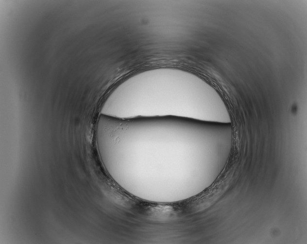 X0000100360374200806060828