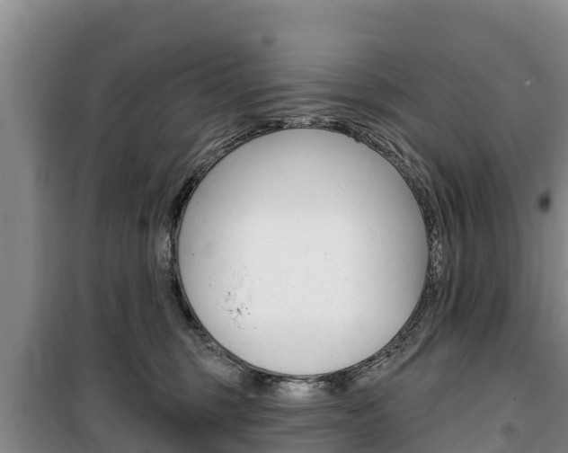 X0000100360375200806060828