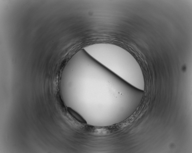 X0000100360376200806060828