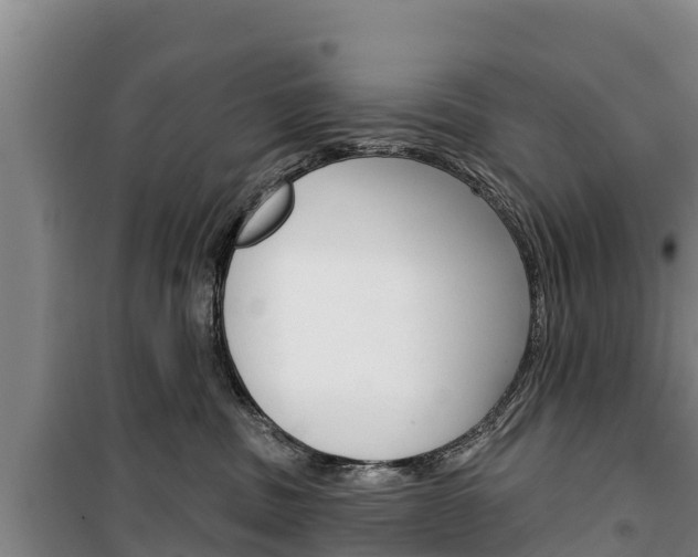 X0000100360379200806060828