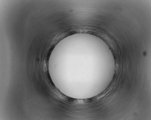 X0000100360381200806060828