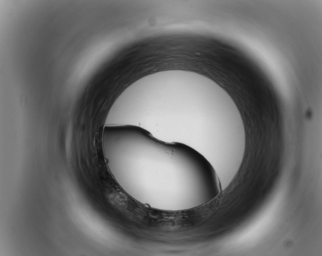 X0000100360382200806060828