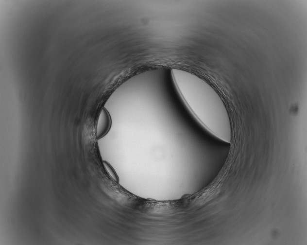 X0000100360384200806060828