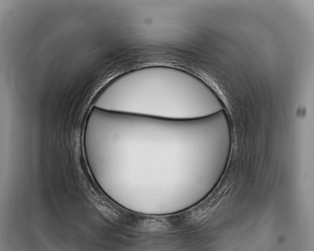 X0000100360386200806060828