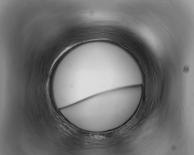 X0000100360387200806060828