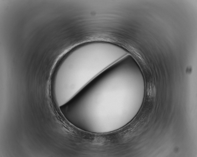 X0000100360388200806060828