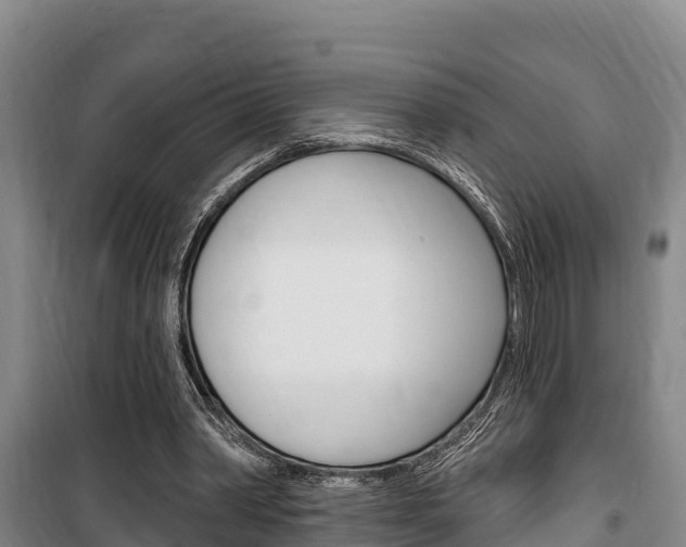 X0000100360390200806060828