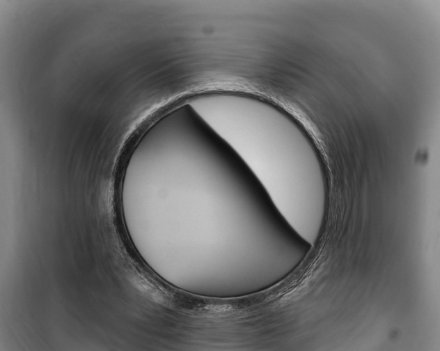X0000100360391200806060828