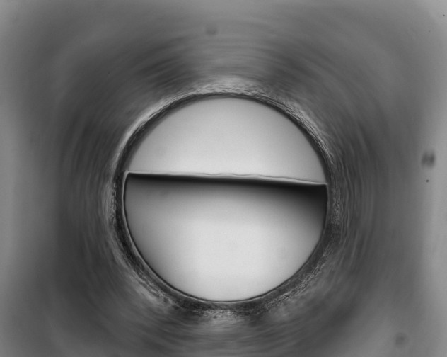 X0000100360392200806060828