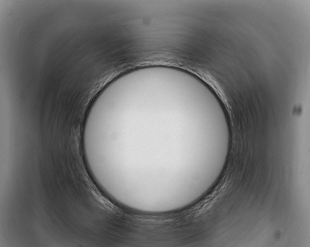 X0000100360393200806060828
