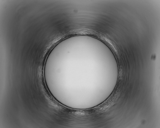 X0000100360394200806060828