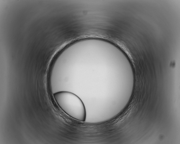 X0000100360395200806060828