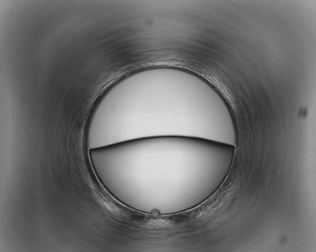 X0000100360397200806060828