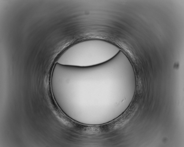 X0000100360398200806060828
