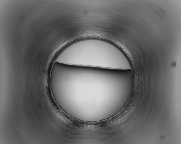 X0000100360399200806060828