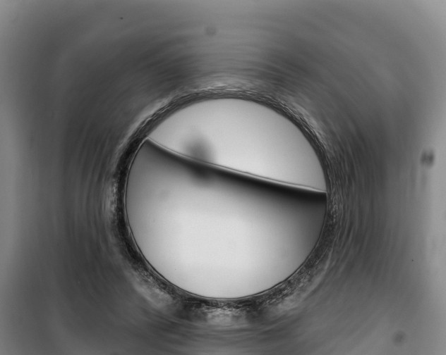 X0000100360400200806060828