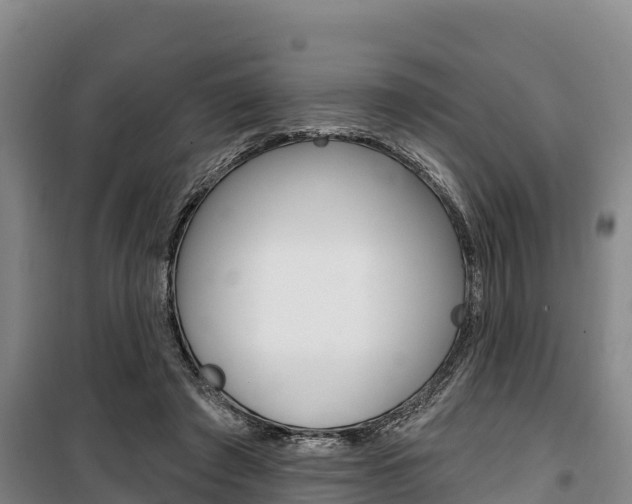 X0000100360401200806060828