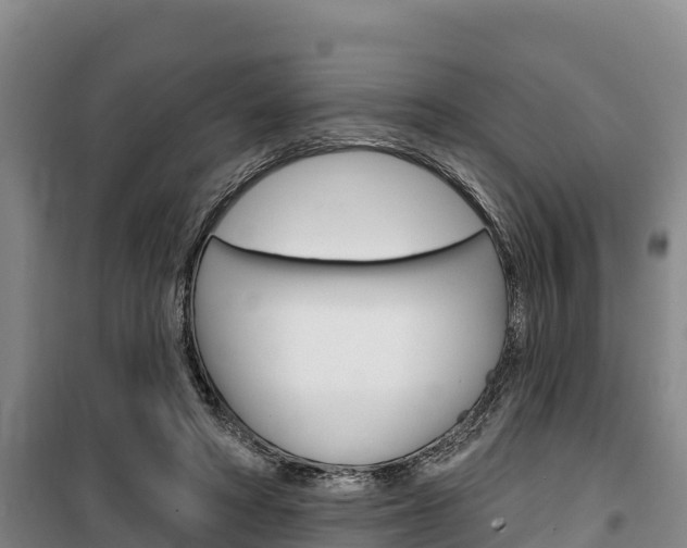 X0000100360402200806060828