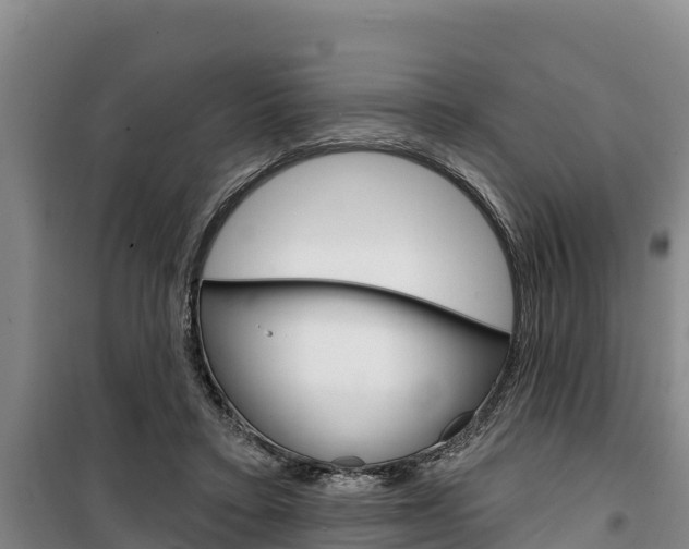 X0000100360403200806060828